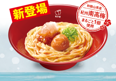 紀州南高梅おろしうどん