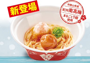 紀州南高梅おろしうどん