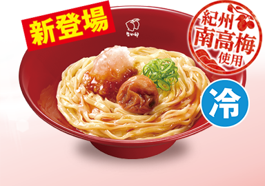 紀州南高梅おろしうどん