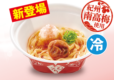 紀州南高梅おろしうどん