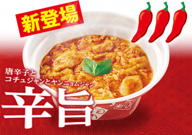 辛旨赤の親子丼